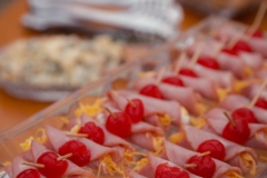 parizzi08novembro-015